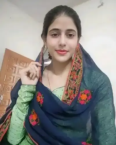 Call Girls Service Hansi